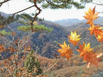 大衣白色长款（白色长款大衣搭配图片）