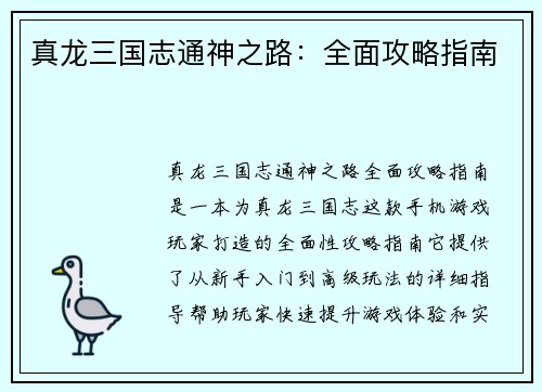 真龙三国志通神之路：全面攻略指南